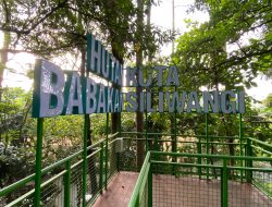 Hutan Kota Babakan Siliwangi Bandung 2025: 5 Wajah Baru Baksil yang Kini Resmi Dibuka