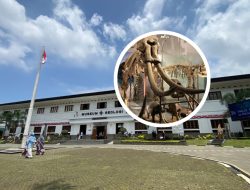 Museum Geologi Bandung Sejarah Panjangnya Terungkap