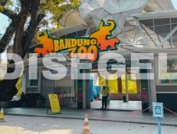 Kemenhut Cabut Izin Bandung Zoo Resmi per 5 Februari 2026