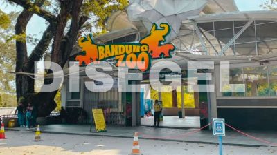 Kemenhut Cabut Izin Bandung Zoo Resmi per 5 Februari 2026