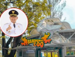 Bandung Zoo Berpeluang Dibuka Saat Libur Lebaran 2026