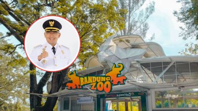 Bandung Zoo Berpeluang Dibuka Saat Libur Lebaran 2026