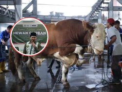DKPP Kota Bandung Siapkan 184 Petugas Kurban 2026