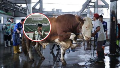 DKPP Kota Bandung Siapkan 184 Petugas Kurban 2026