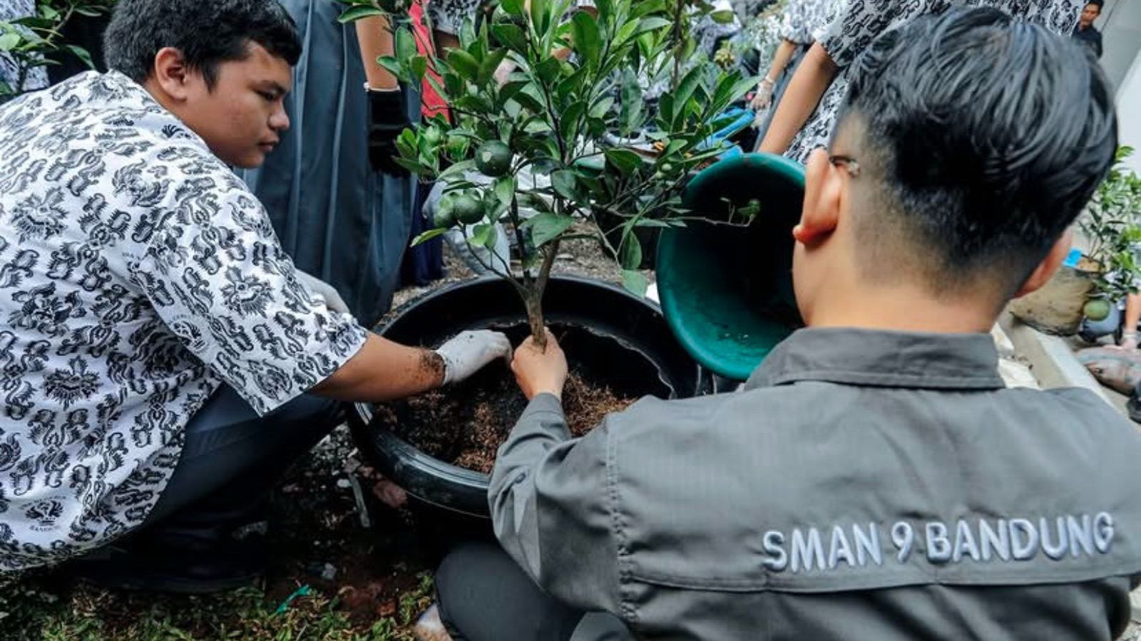 Tabulampot SMAN 9 Bandung dalam program penghijauan sekolah