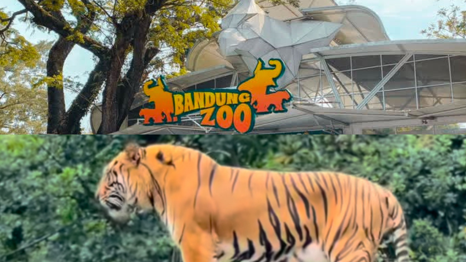 Faunaland Bandung Zoo resmi menjadi pengelola baru Kebun Binatang Bandung