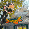 Faunaland Bandung Zoo Resmi Kelola Kebun Binatang Bandung
