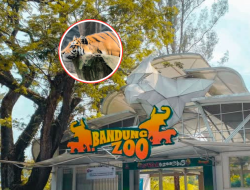 Faunaland Bandung Zoo Resmi Kelola Kebun Binatang Bandung