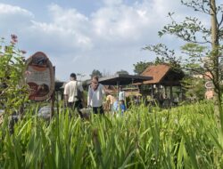 Nordic Land Bandung, Wisata Edukasi Keluarga Seru