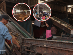 TPSS Gedebage Olah 20 Ton Sampah per Hari